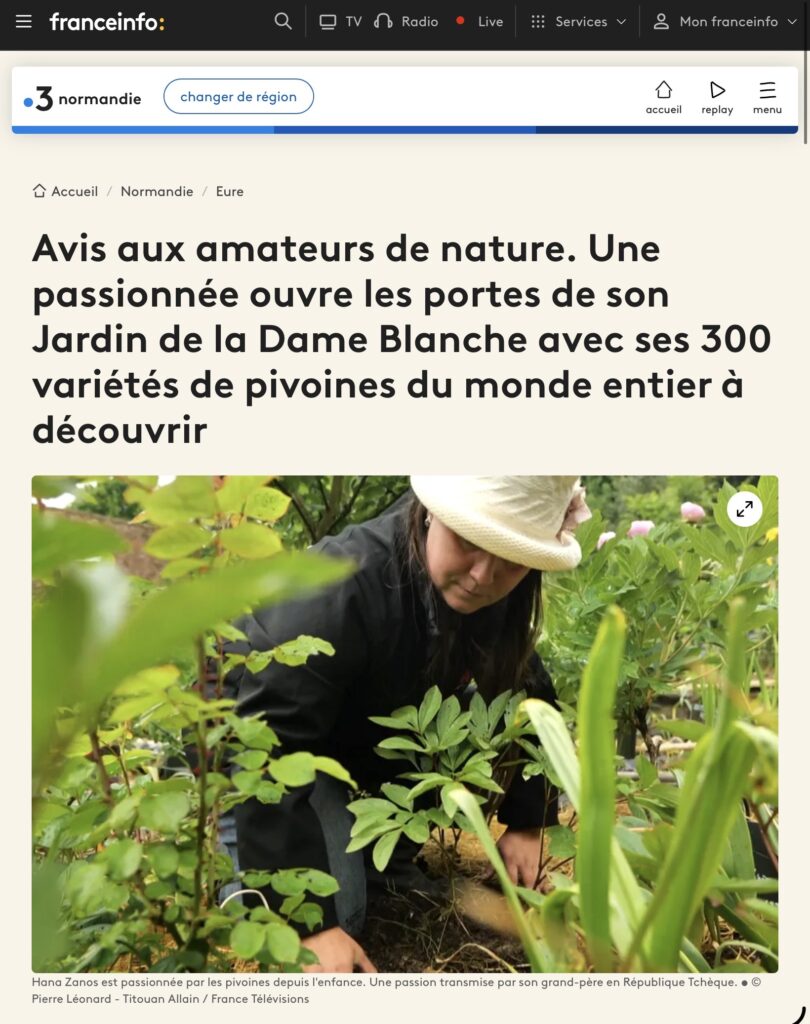 Article Actu.fr